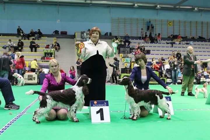 194947-6b009-94563869-m750x740-u21f10.jp