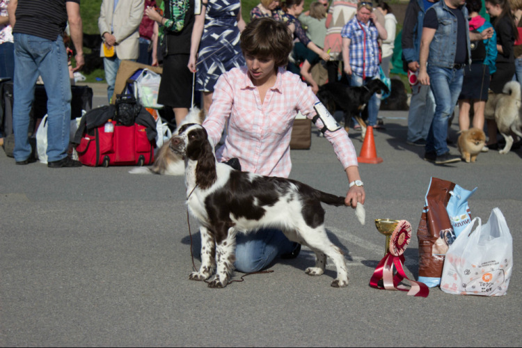 194947-6b977-94563611-m750x740-u572eb.jp